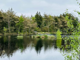 Ferienhaus Kongsmark  31