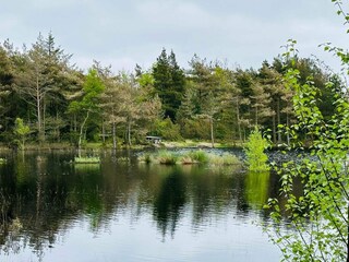 Vakantiehuis Kongsmark  31