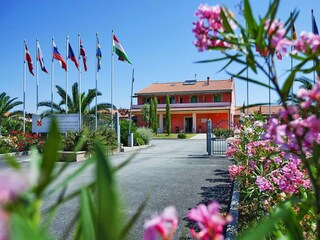 Vakantiepark Vada Buitenaudio-opname 6