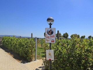 Parque de vacaciones Vada Grabación al aire libre 21