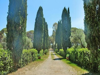Holiday park Marina di Grosseto Environment 24