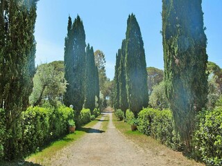Holiday park Marina di Grosseto Environment 27