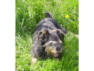 Appartamento per vacanze Lana Ambiente 12