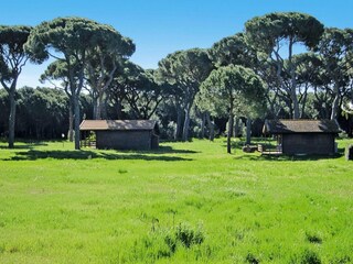 Vakantiepark Marina di Grosseto Omgeving 22
