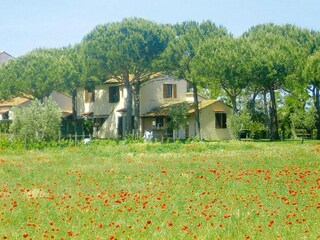 Vakantiepark Marina di Grosseto Omgeving 24