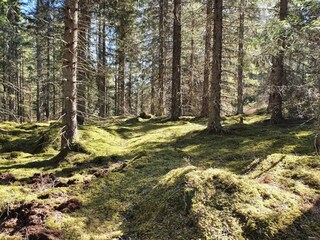 Vakantiehuis Boda  11