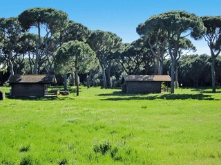 Holiday park Marina di Grosseto Outdoor Recording 9