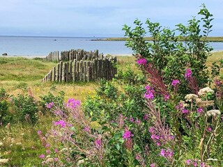 Ferienhaus Borhaug Außenaufnahme 3