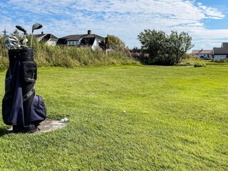 Ferienhaus Borhaug  17