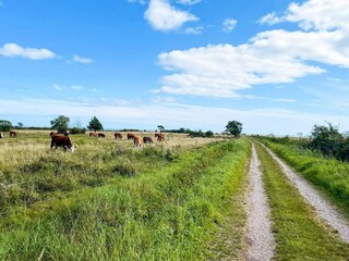 Vakantiehuis Borgholm  13
