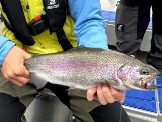 Vakantiehuis Storuman Buitenaudio-opname 5