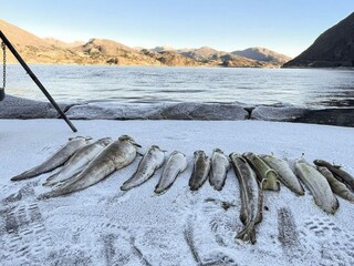 Holiday house Bremanger  65