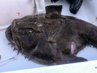 Holiday house Bremanger  68