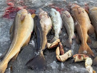 Holiday house Bremanger  38