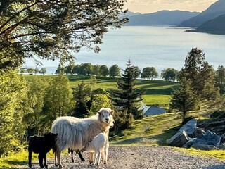 Vakantiehuis Bremanger  56