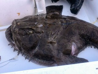 Holiday house Bremanger  76