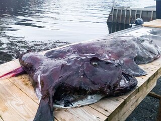 Holiday house Bremanger Outdoor Recording 11