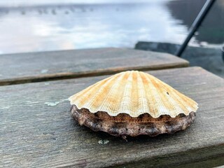 Vakantiehuis Bremanger  36