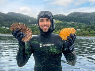 Holiday house Bremanger  86