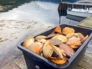 Ferienhaus Bremanger  86