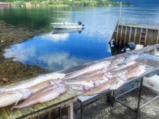 Vakantiehuis Bremanger  83