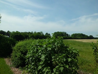 Blick von der Ferienwohnung aus über die Felder