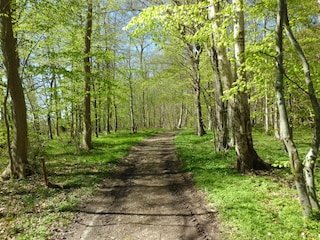 Wander- u. Radweg von der Fewo zum Strand