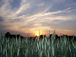 Sonnenuntergang in Eckeberg