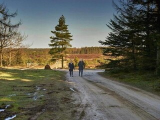 Vakantiehuis Hovborg  41