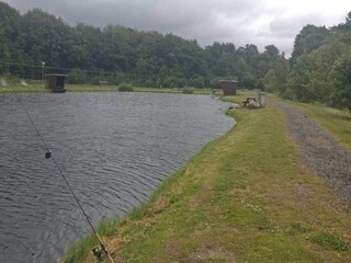 Vakantiehuis Hovborg  33