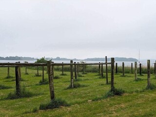 Vakantiehuis Kalvehave  7