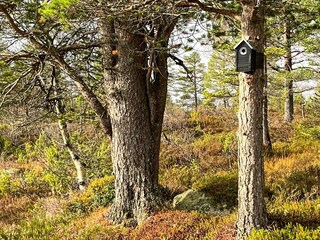 Holiday house Welt Outdoor Recording 15