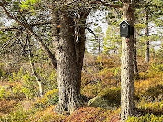 Holiday house Welt Outdoor Recording 4