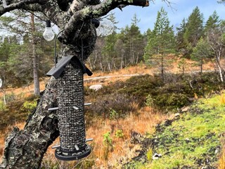 Holiday house Welt Outdoor Recording 6