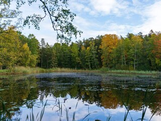 Holiday house Forsheda  9