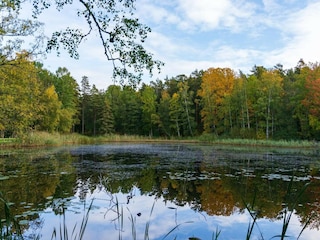 Ferienhaus Forsheda  8