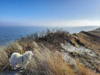 Maison de vacances Lyngså  13