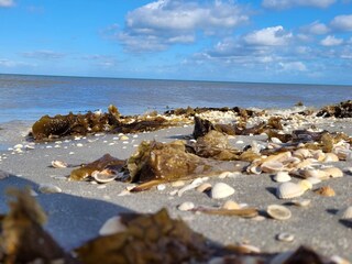 Casa de vacaciones Lyngså  14