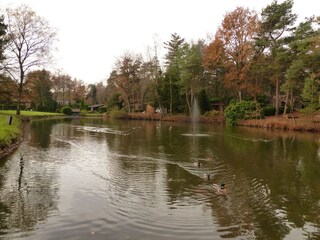 Parco vacanze Baarle-Nassau Ambiente 29