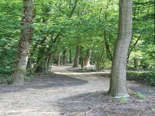 Parco vacanze Baarle-Nassau Ambiente 34