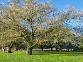 Ferienpark Baarle-Nassau Umgebung 27