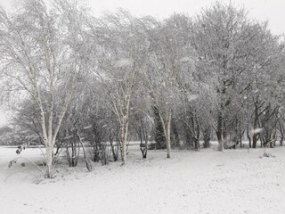 Ferienpark Baarle-Nassau Umgebung 34