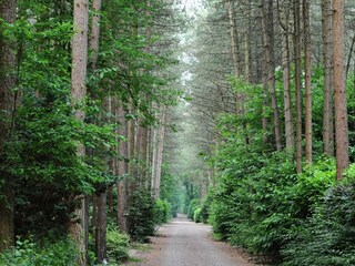 Ferienpark Baarle-Nassau Umgebung 30