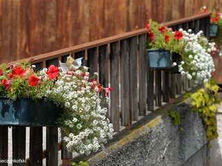 Appartamento per vacanze Kiens Registrazione all'aperto 10