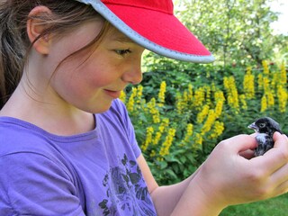 Appartamento per vacanze Kiens Ambiente 34