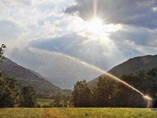 Appartamento per vacanze Kiens Ambiente 35