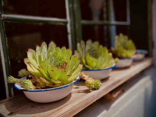 Appartamento per vacanze Kiens Registrazione all'aperto 14