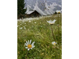 Appartamento per vacanze Kiens Registrazione all'aperto 16