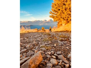 Appartamento per vacanze Kiens Registrazione all'aperto 20