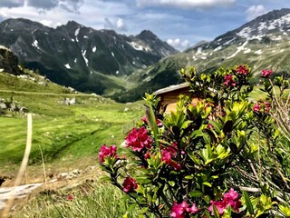 Vakantieappartement Kiens Buitenaudio-opname 21